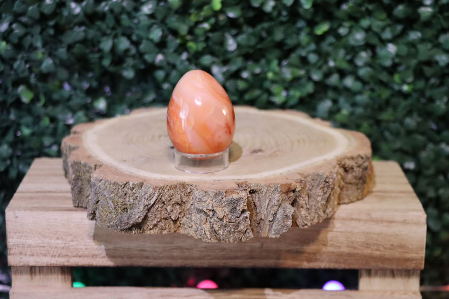 Carnelian Egg