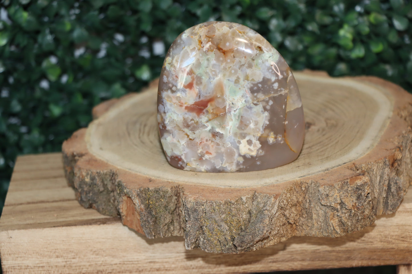 Flower Agate Free Forms v