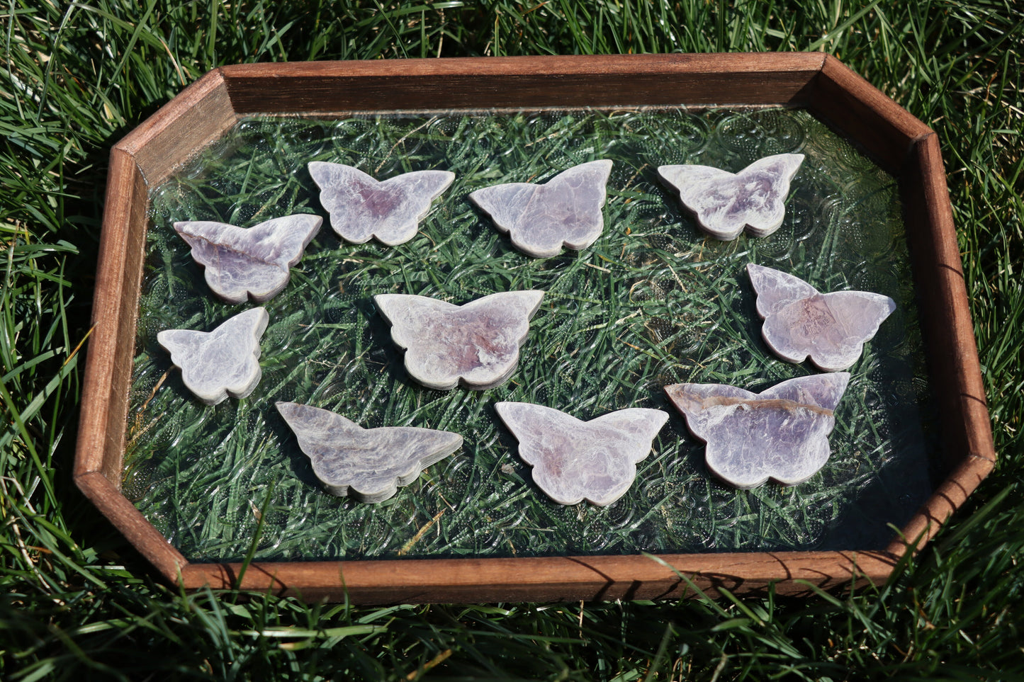 Purple Mica Butterfly's