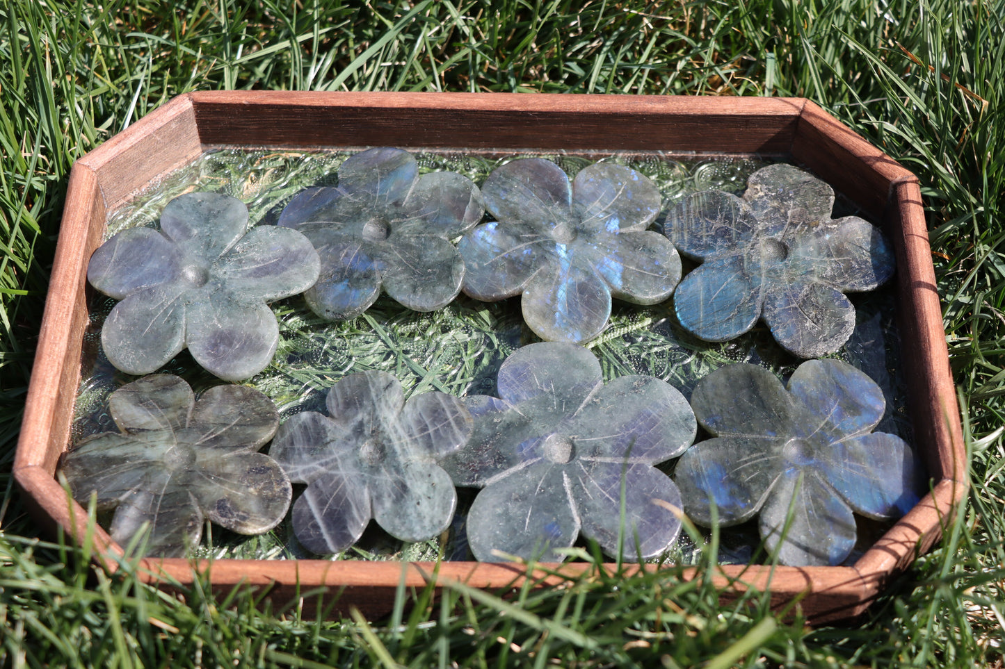 Labradorite Flowers