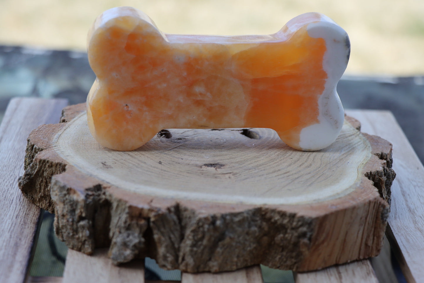 Onyx Bones