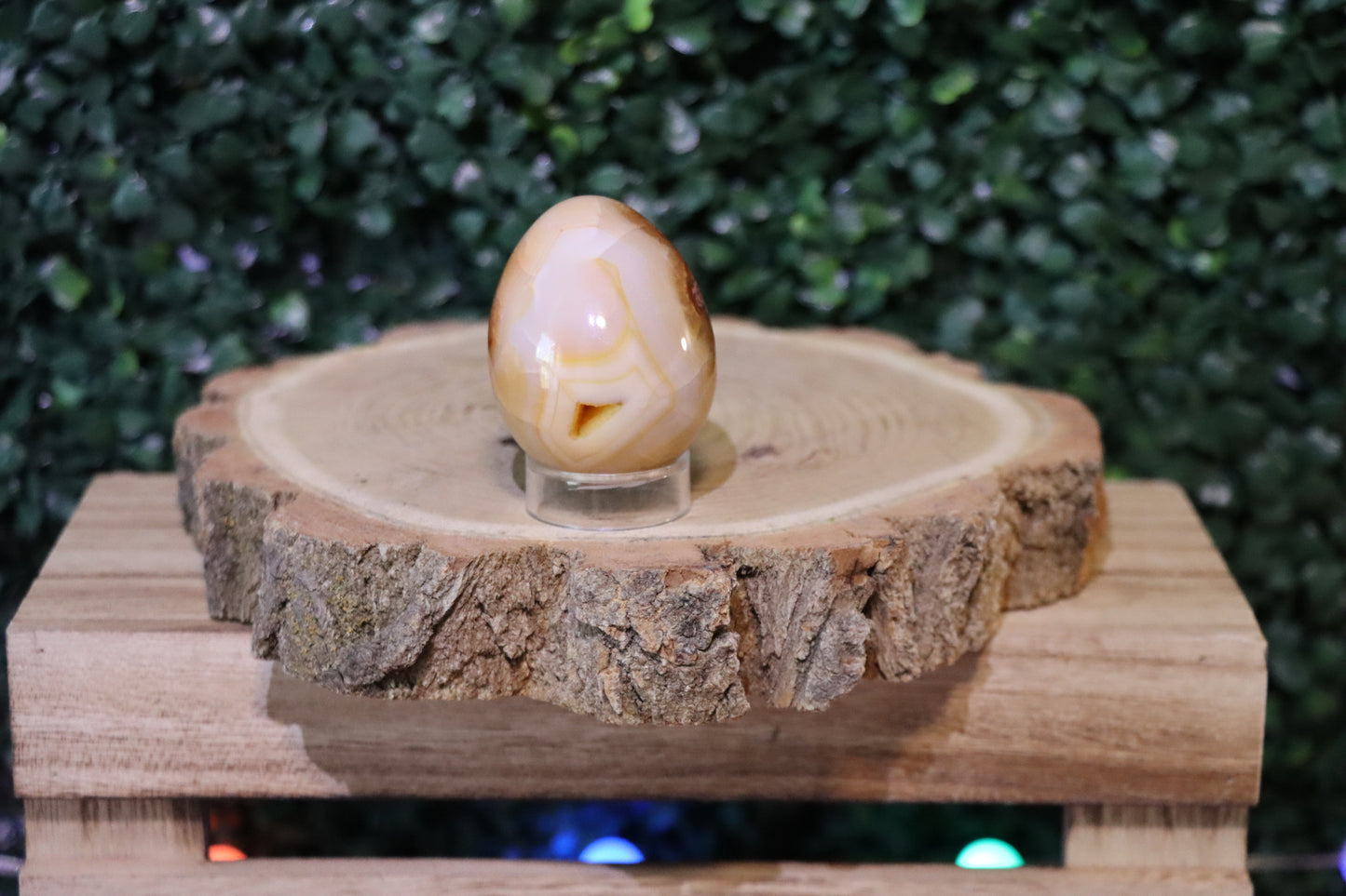 Carnelian Egg