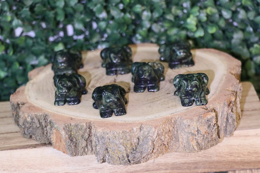 Kabamba Jasper Frogs