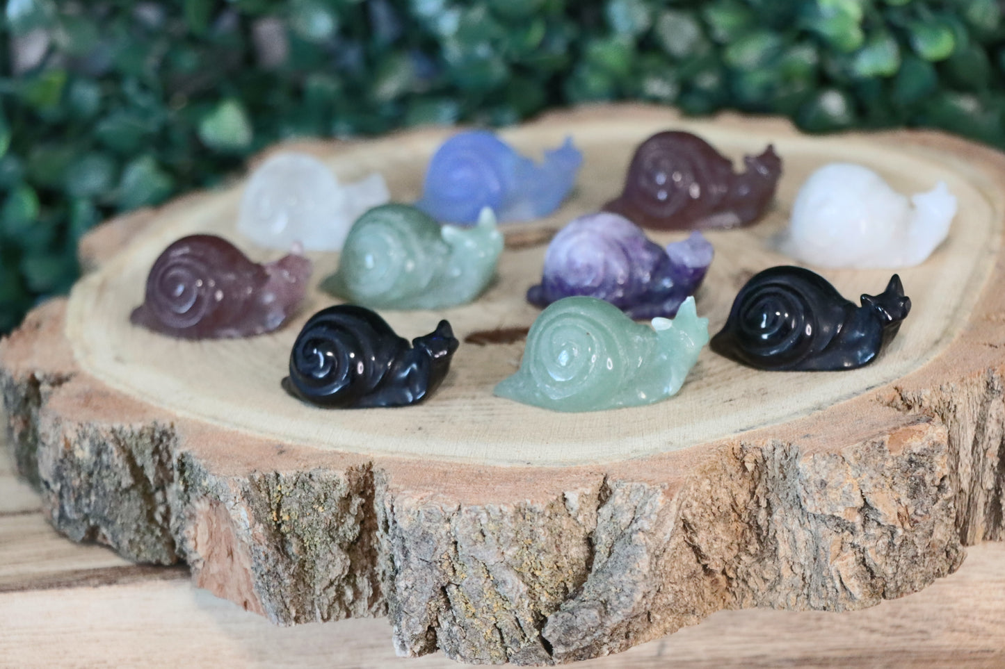 Snails