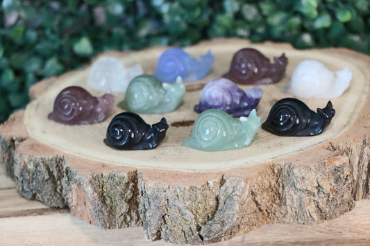 Snails