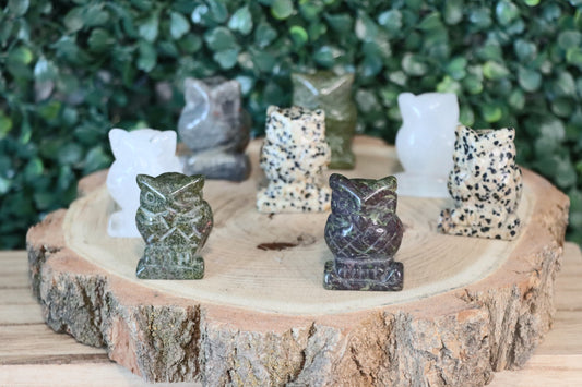 Owls